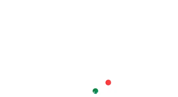 Revora